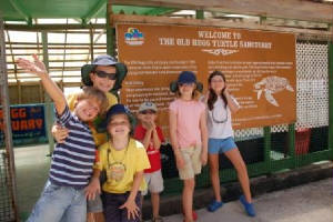 March2009/turtlesanctuary.JPG